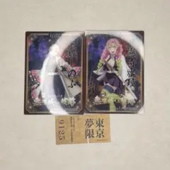 鬼滅の刃　胡蝶しのぶ　甘露寺蜜璃　無限列車切符　ニジゲンノモリ　セット