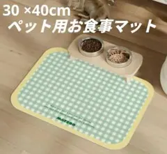 Item thumbnail for item 352250e4-dd47-418d-9804-dee65b401801