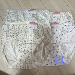 レトロ　花柄　カジュアル　ショーツ　下着　LL