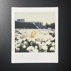 BLACKPINK ロゼ フォトブック 一次予約特典 Instax チェキ