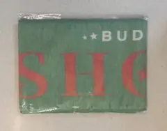 Item thumbnail for item d0e6b602-e00f-4519-86f5-e8b7e045c328