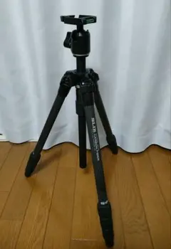 Item thumbnail for item 3498b903-f478-44eb-9d00-dfbf50174c0a