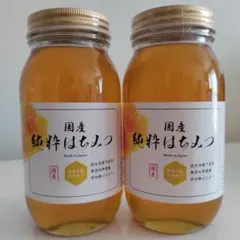 安心の日本みつばち 芳醇糖度81% 優良品 春百花垂れ蜜 1,100g - メルカリ