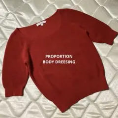 美品　PROPORTION BODY DREESING　ニット　半袖　赤系のサムネイル
