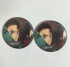 鬼滅の刃 ものがたる背中 コレクション缶バッジA 竈門炭治郎 冨岡義勇