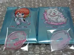 銀魂　神楽　定春　ミニキャラアクリルスタンド