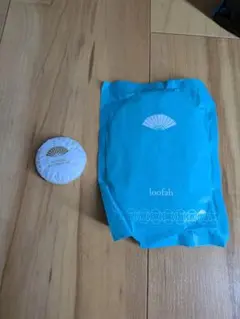 Item thumbnail for item 943a3795-e643-4f92-bfd2-4441e0d01a04