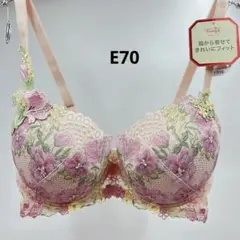 トリンプ プレミアム レッドレーベル0090 ブラジャーE70