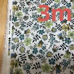 リバティタナローン　エデナム　110×300cm