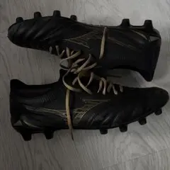 Item thumbnail for item 5f0ca4fe-4d7c-4e40-9565-ccff4a603f51