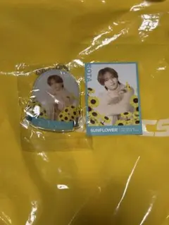 FANTASTICS sunflower 中島颯太 第二弾 アクスタ＆缶バッジ - メルカリ