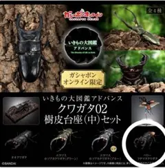 mokimoki様 リクエスト 2点 まとめ商品