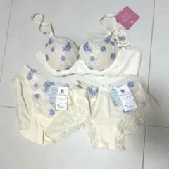 Wacoal 女神のヒミツ ブラジャー ショーツ セット C70 M