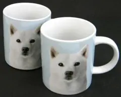 Item thumbnail for item 5f4215e5-6058-4495-a356-784498b3cc3a