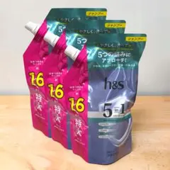 h&s 5in1 マイルドモイスチャー シャンプー 詰替 460g 3個セットのサムネイル