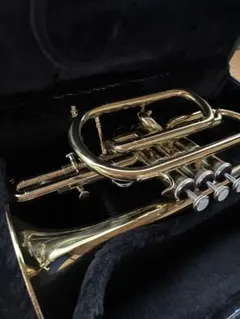 Item thumbnail for item 88802e4a-9503-4f91-bc67-f180d04953dd