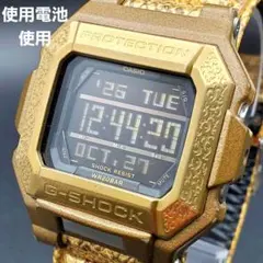 カシオ G-SHOCK 希少 デジタル クォーツ パイソン 남성