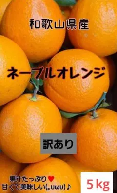 2026年最新】みかんキングの人気アイテム - メルカリ