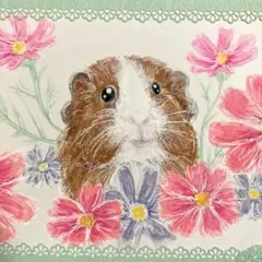 手描きイラスト　♡コスモス(秋桜)とモルモット♡ 原画　動物画
