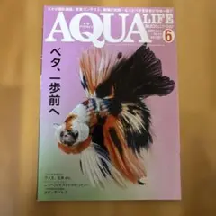 NOKO様 リクエスト 2点 まとめ商品