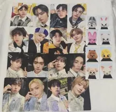 Stray Kids SKZ TOY WORLD 完全生産限定盤トレカ ID