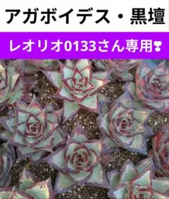 レオリオ0133様 リクエスト 3点 まとめ商品