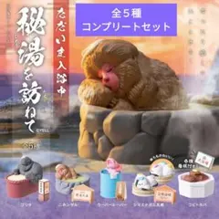 ただいま入浴中～秘湯を訪ねて～　全５種コンプリートセット