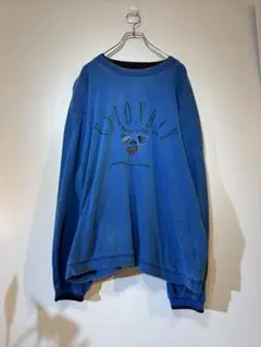 人*外様 Eve着用　類似品　色違い　NFL reebok スウェット 花嵐　R 花嵐 Eve 着用 色違い reebok Titans sweat - メルカリ