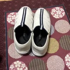 Item thumbnail for item b26333c7-f73f-43ad-a41e-95eaf947c0f8