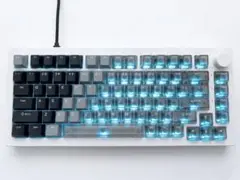 希少】Arbiter Studio Polar ラピトリキーボード 白カスタム - メルカリ