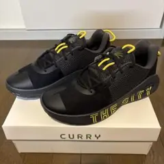CURRY 6 29cm 新品未使用 アンダーアーマー カリー6 Under Armour Curry 6 - NBAグッズ
