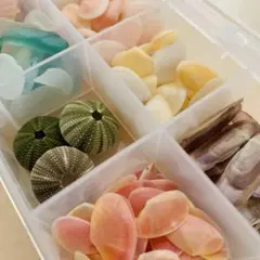 Item thumbnail for item e016ac1e-e076-4f69-adaa-4a35df6f4e3d