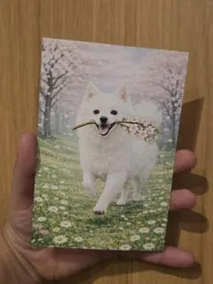 Item thumbnail for item aabc0ca9-a064-4558-b1bc-86a638243e06