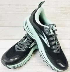 Item thumbnail for item 49faed89-86f2-433a-bc84-f6cb182b0085