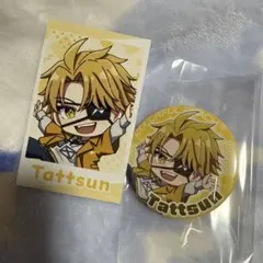 カラフルピーチ たっつん 缶バッジ ミニブロマイド