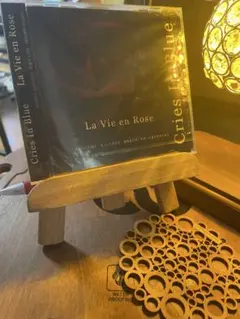 Cries In Blue CD V系 ヴィジュアル系　ビジュアル系　90年代