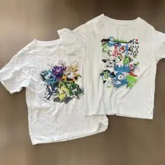 Item thumbnail for item 8fddbe64-6419-44cf-8b4e-b5d5ce4ceab9