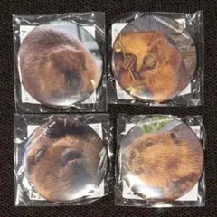 アトア アメリカビーバー マン 缶バッジ 第1弾【 4点セット】