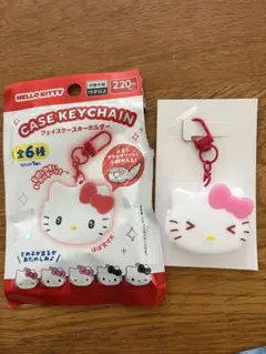 헬로 키티 페이스 케이스 키 체인 산리오