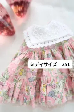 ミディサイズ　251＊リバティ襟付きワンピース＊　ブライスアウトフィット