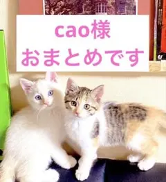 cao様 リクエスト 2点 まとめ商品