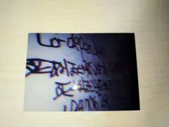 おこぷれ ゆいにゃ チェキ 260枚 まとめ売り おこさまぷれ〜と