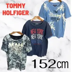 3枚セット✨【TOMMY HILFIGER】キッズボタニカル柄Tシャツ　152のサムネイル
