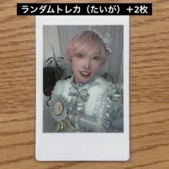 2026年最新】パンダドラゴンの人気アイテム - メルカリ