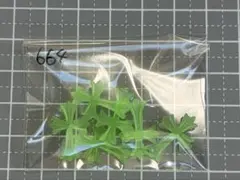 十字架 ネイルパーツ