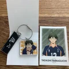 ハイキュー‼︎ トレーディングアクリル2連キーホルダー　山口忠