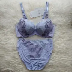 トリンプ　レッドレーベル　天使のブラ0118　定価13100円　021 D70M