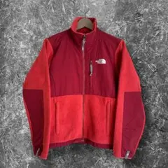 THE NORTH FACE 希少色 ポーラテック 肉厚 デナリジャケット S