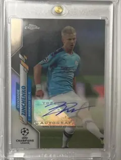 Item thumbnail for item 43fe6c82-9571-4cbc-ba92-a7c02c5331a6