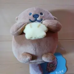 ラッコズ ぬいぐるみ 貝のサムネイル